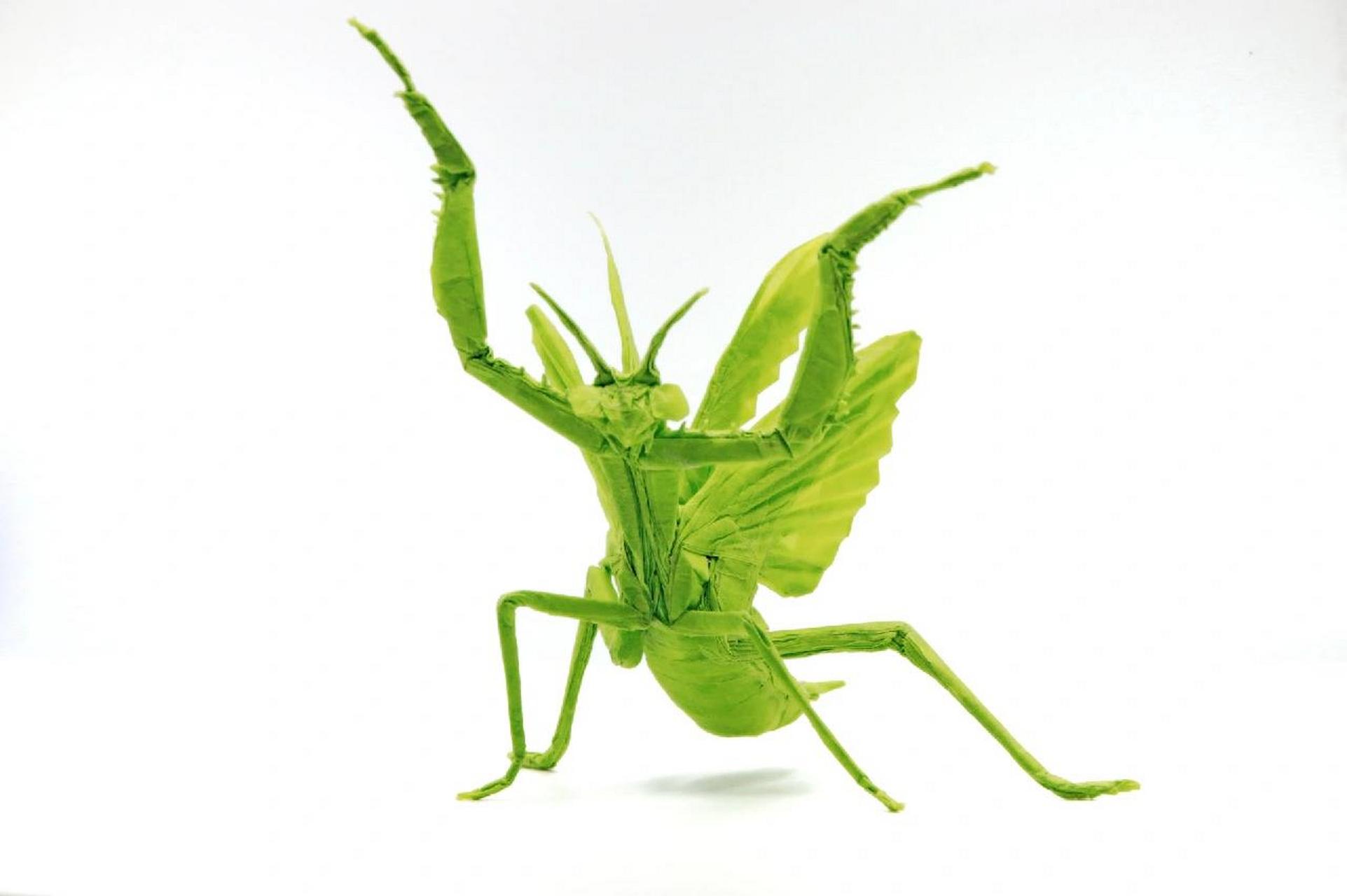 折纸枯叶螳螂教程图片