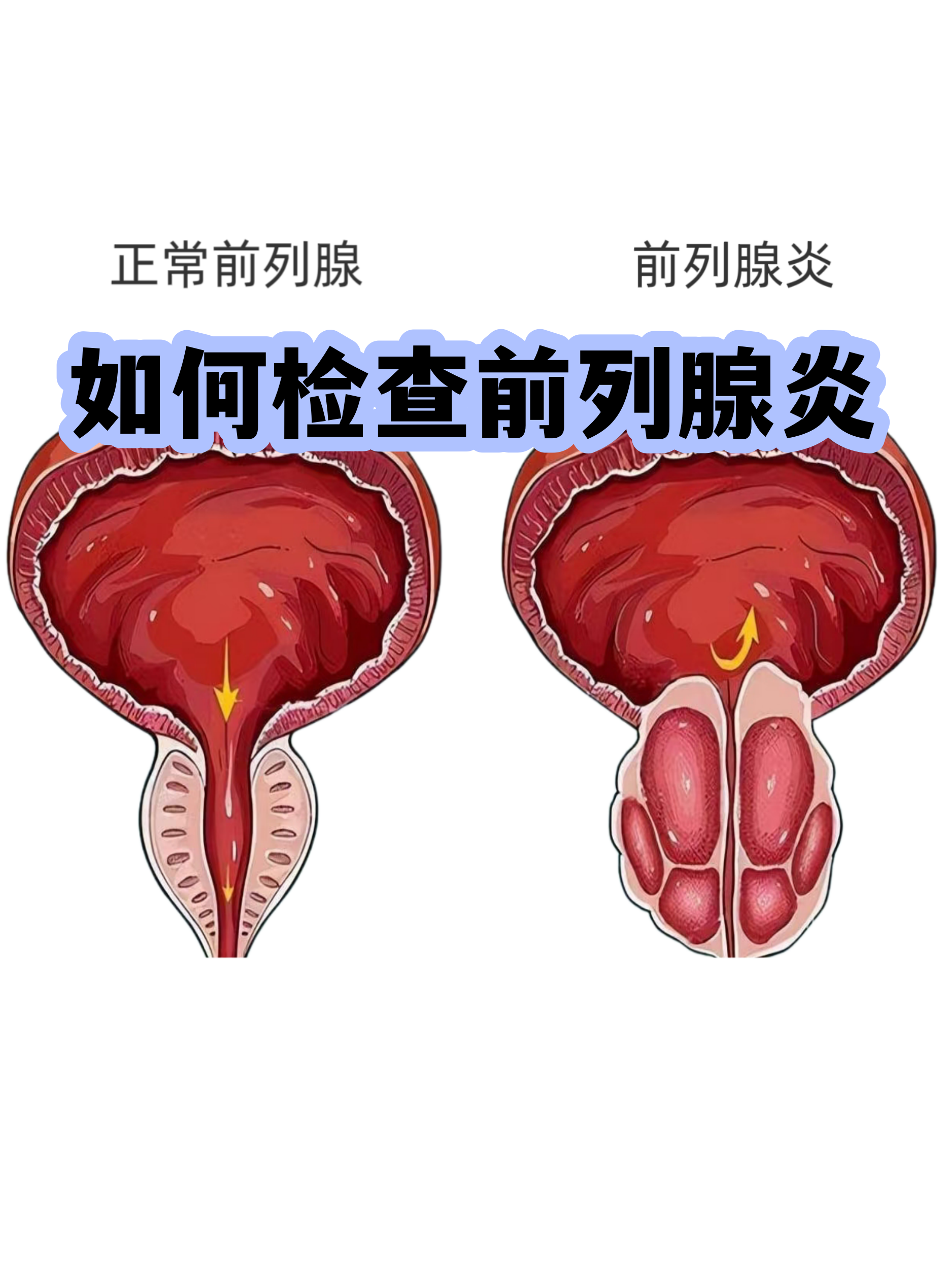 关于清华长庚医院代挂专家号加代问诊及时解决你就医问题的信息