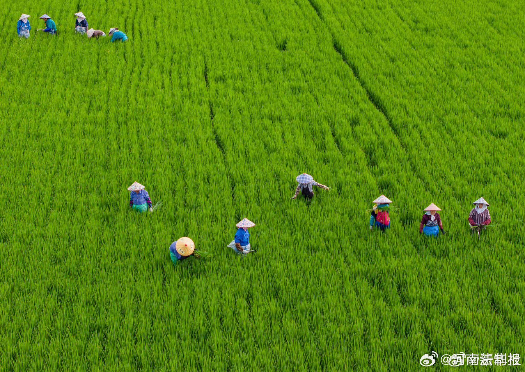 【今日立秋】①北京时间8月8日2时23分迎来"立秋"节气;②气候开始脱离