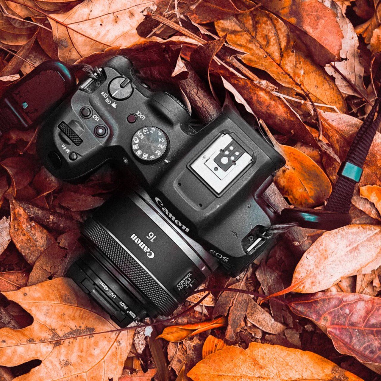 canon r7 rf 16 #相机#0202#佳能相机