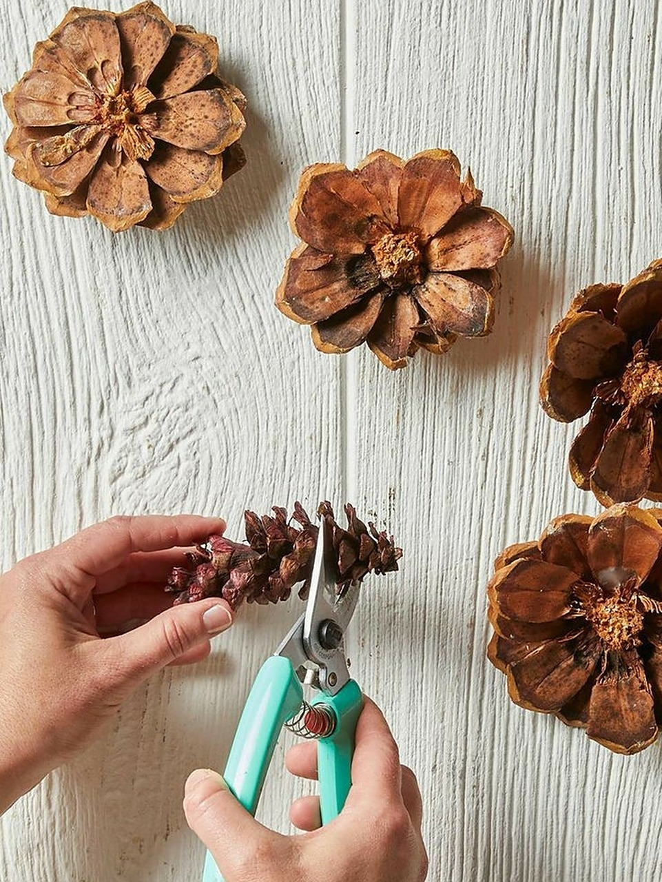 分享一个松塔的艺术创作,作业帮收藏哦 #diy手工制作