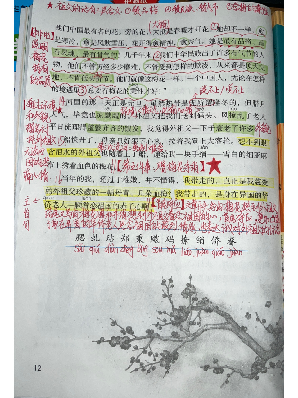 五年级下册语文《梅花魂》笔记94 小学语文|五年级语文下册课堂笔记