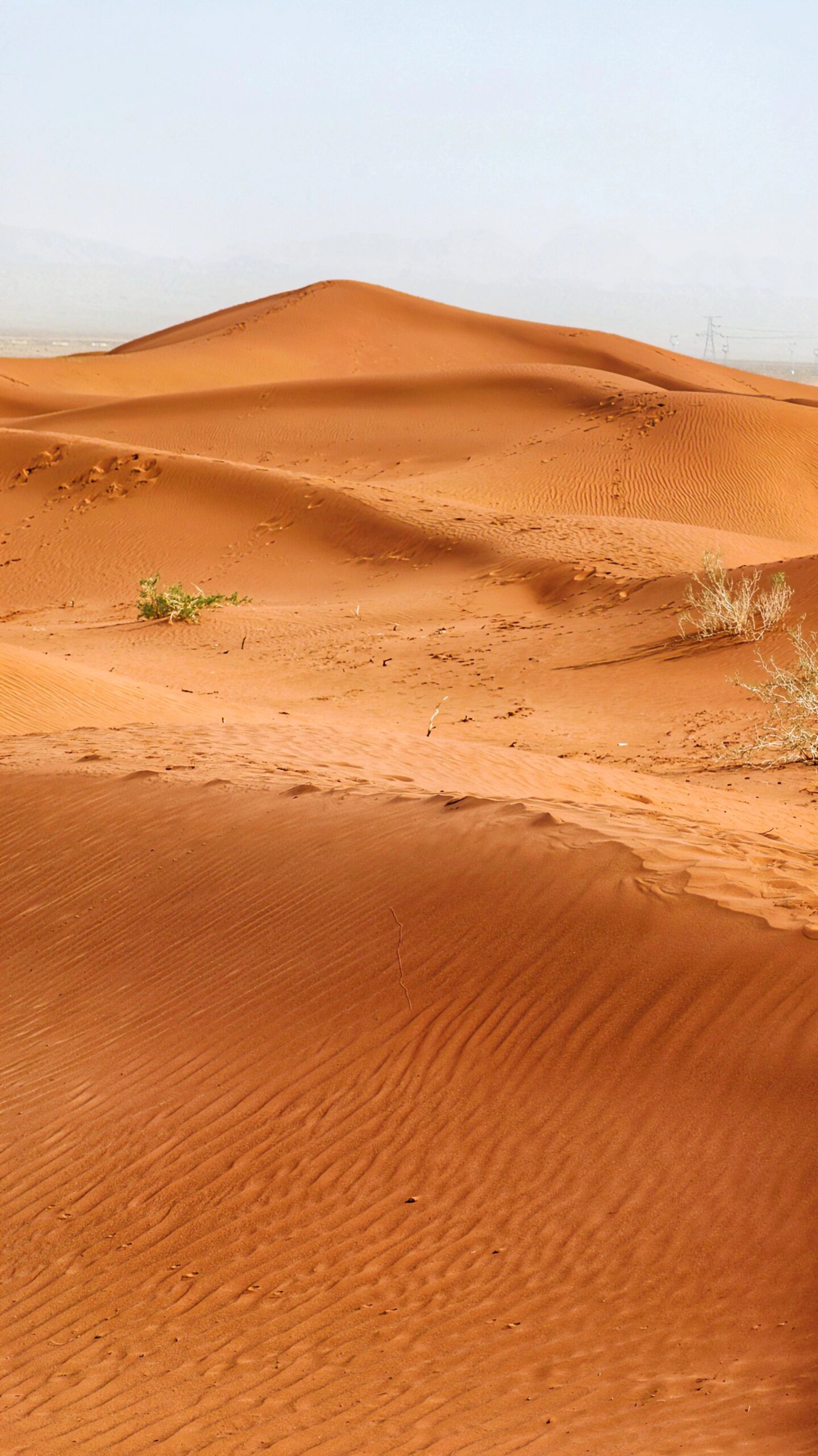 柯坪红沙漠景区