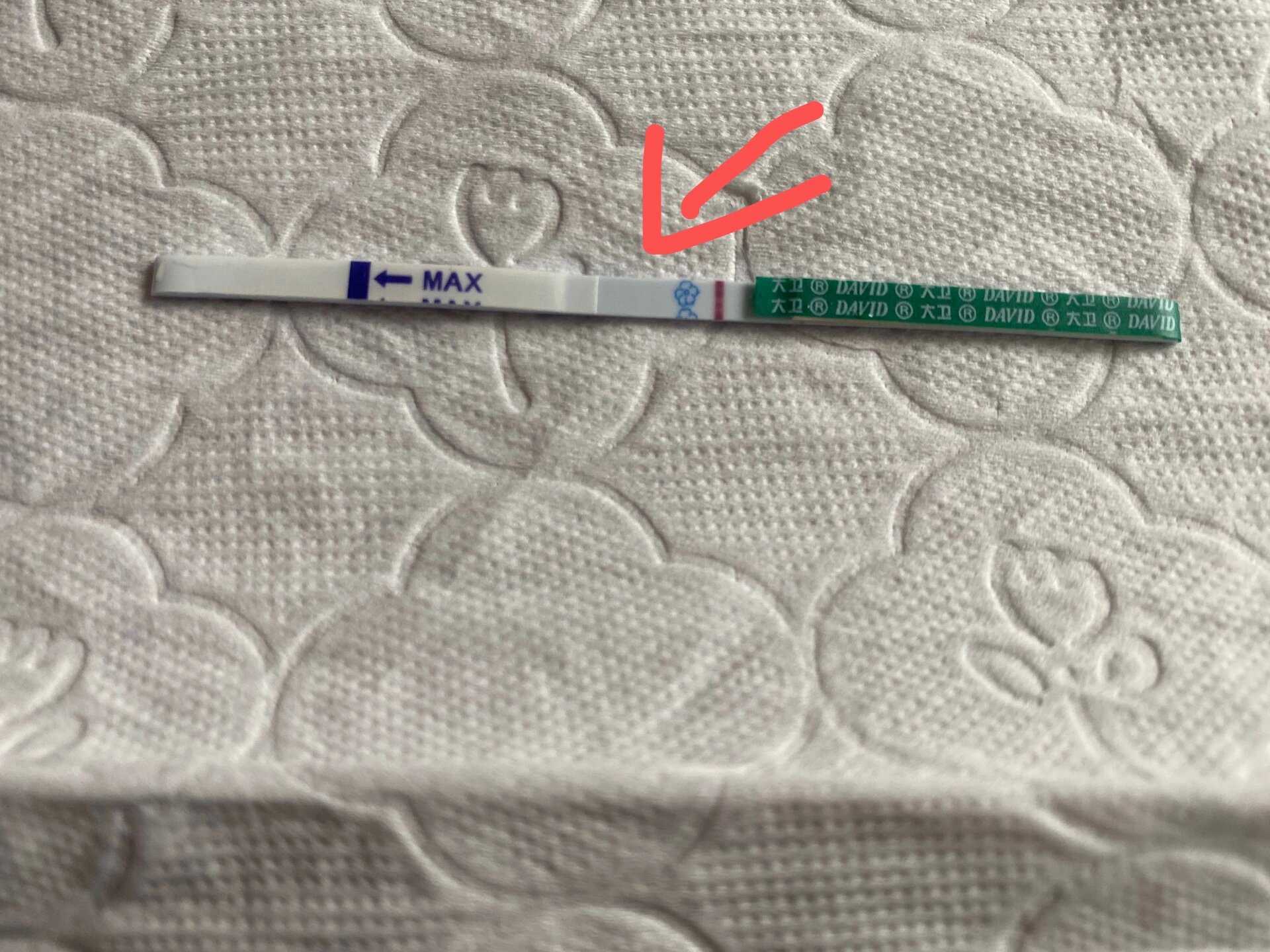 鲜胚移植14天意念灰 有没有这么一种可能,会有14天才着床 13天的时候