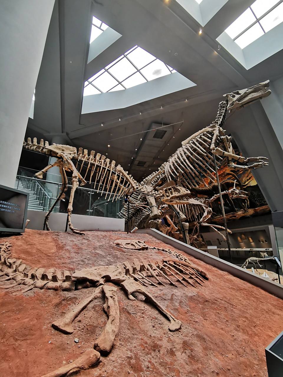 重庆97重庆自然博物馆环游 99重庆自然博物馆 馆址在北碚区金华路