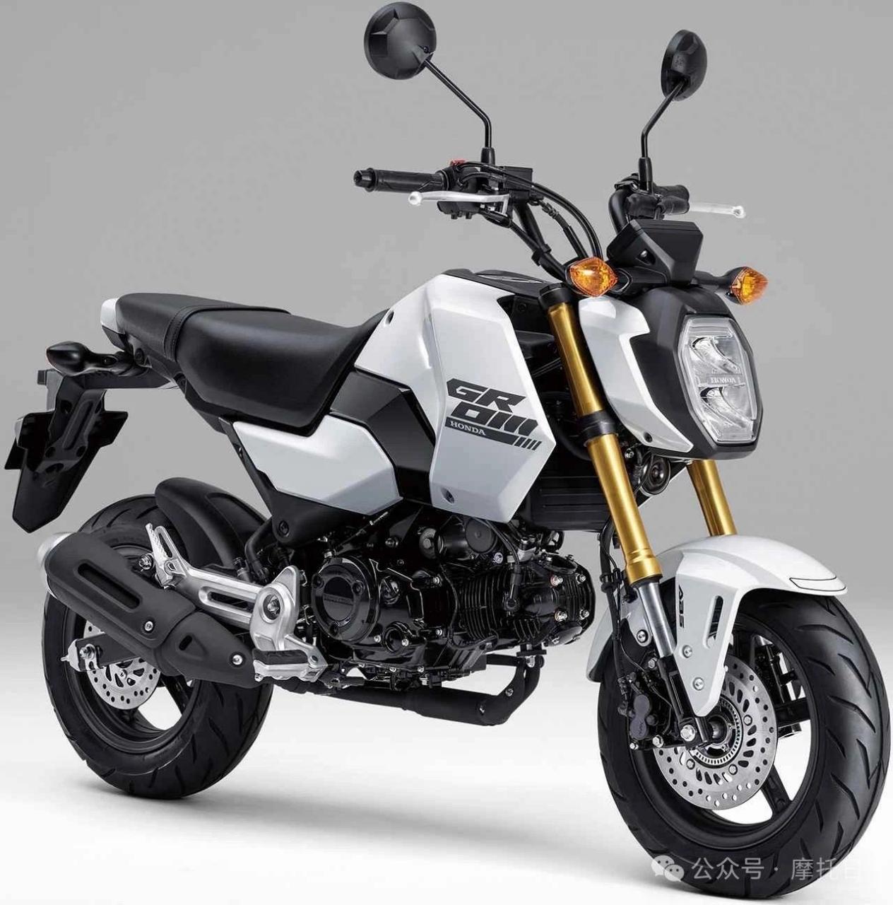 本田 猴子 grom125.2024 新款 猴子街车版 msx125 进化版