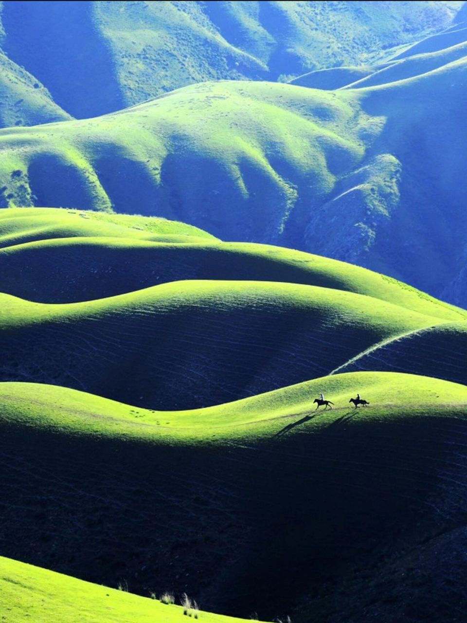 新疆喀拉峻旅游攻略73手绘地图9015纯干货 "它颠覆了一般草原