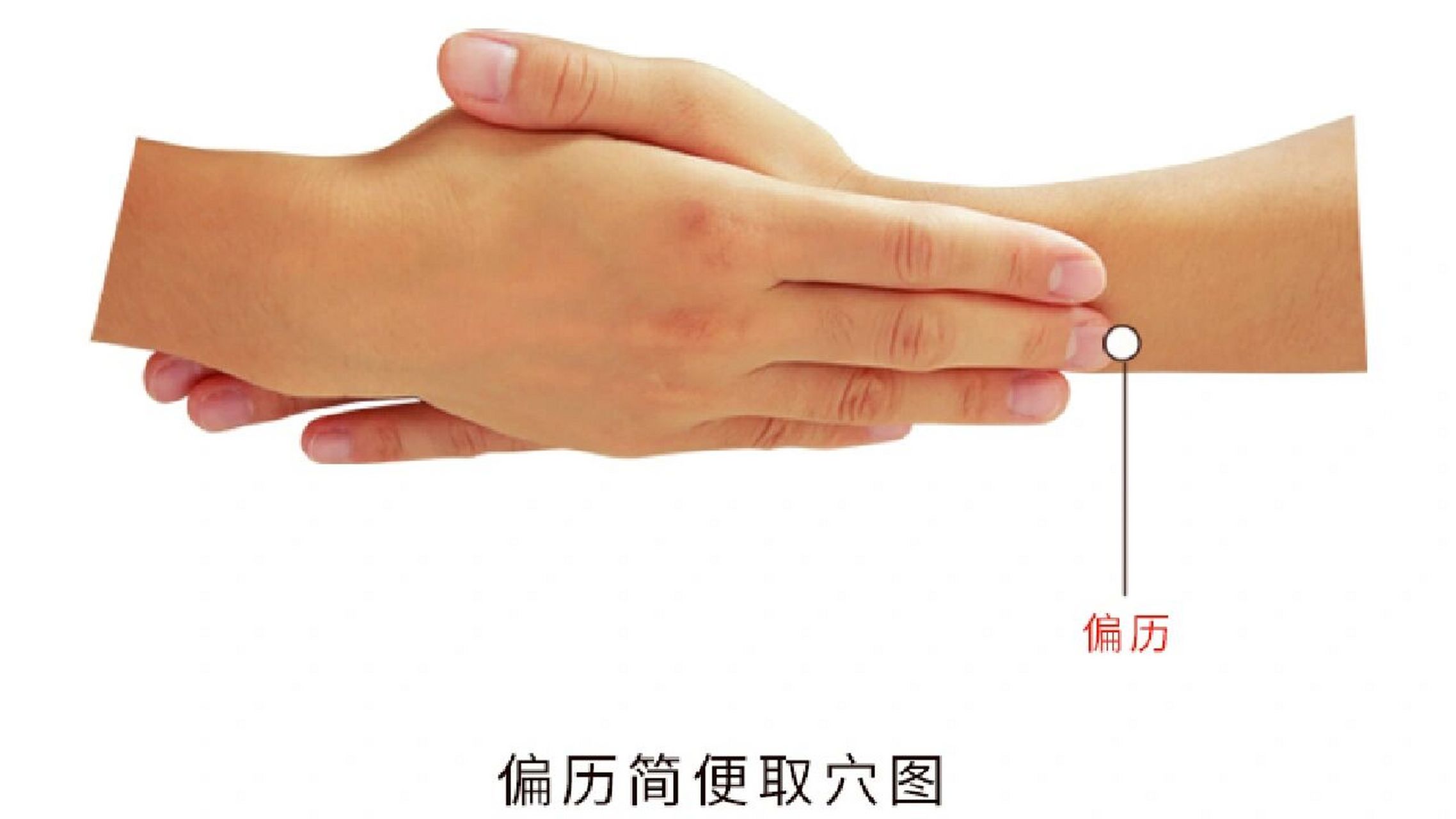 偏历 【别名】 无.