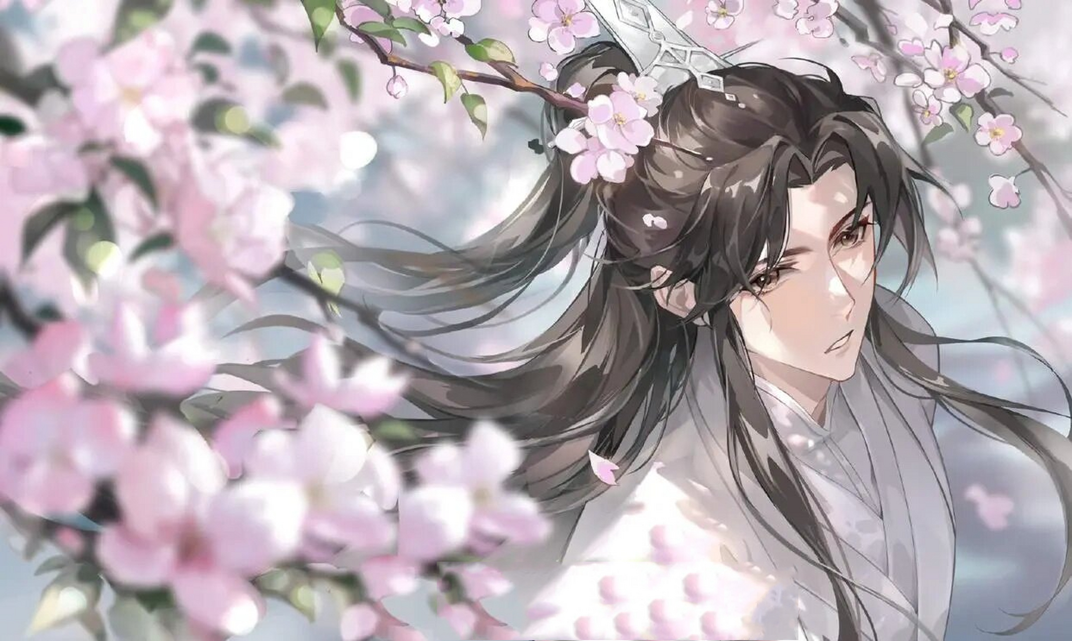 二哈和他的白猫师尊壁纸,emmm第几期来着