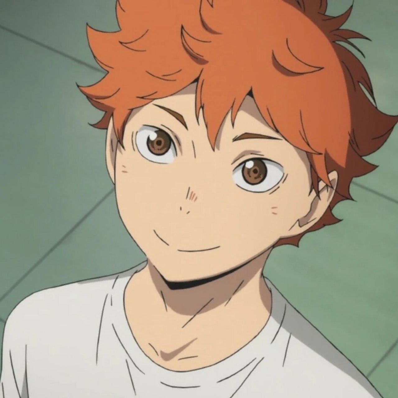 《排球少年》日向翔阳 头像合集 小太阳来啦!