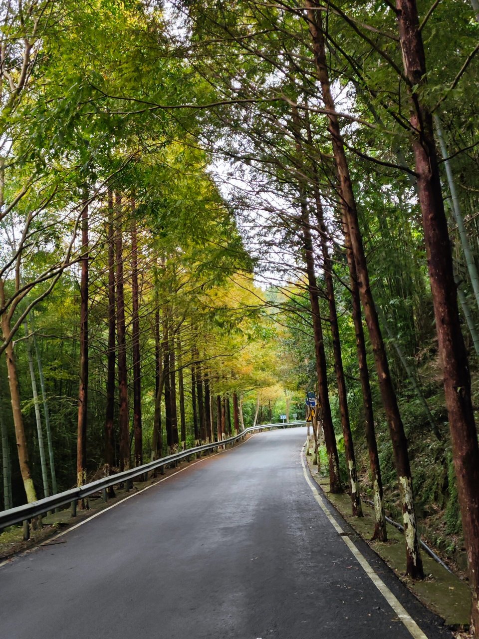 泽雅龙井最佳看风景时间 晴天光线好色彩会更好看,建议这周放晴骑上去