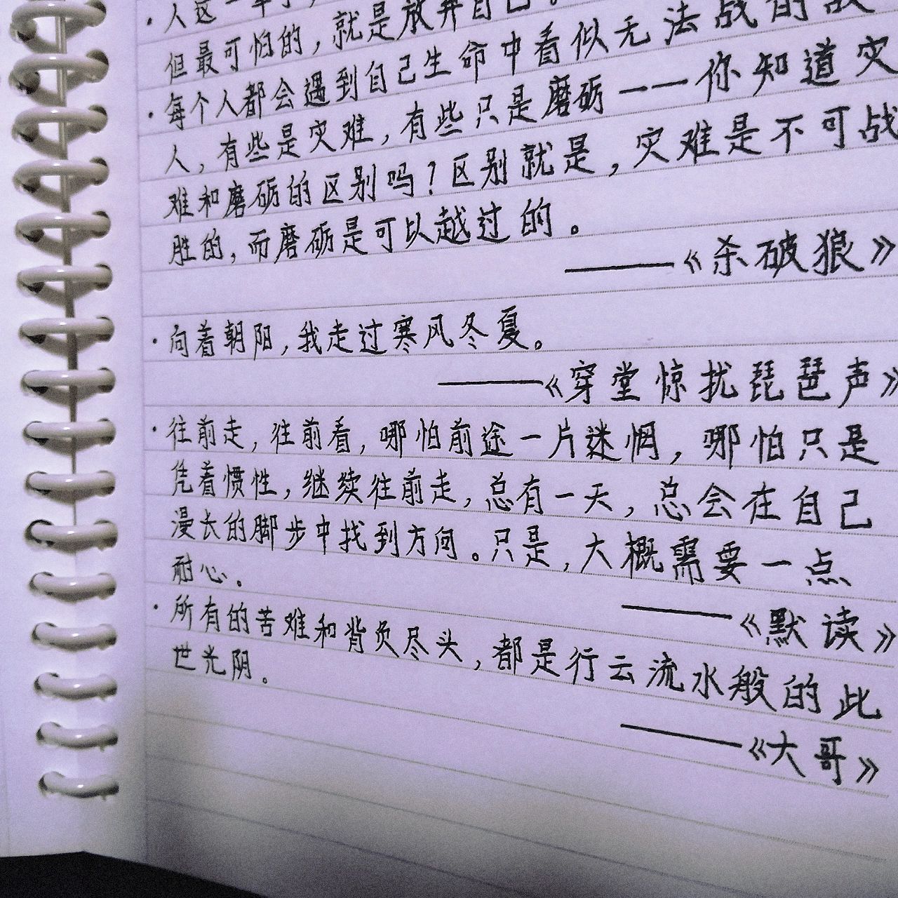 摘抄原耽句子(励志)   虽然是这样写,但我并不确定这是励志