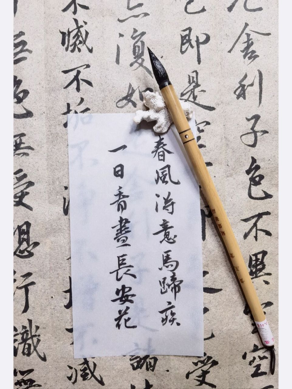 登科后 春风得意马蹄疾 一日看尽长安花#我的书法分享# #写字日常