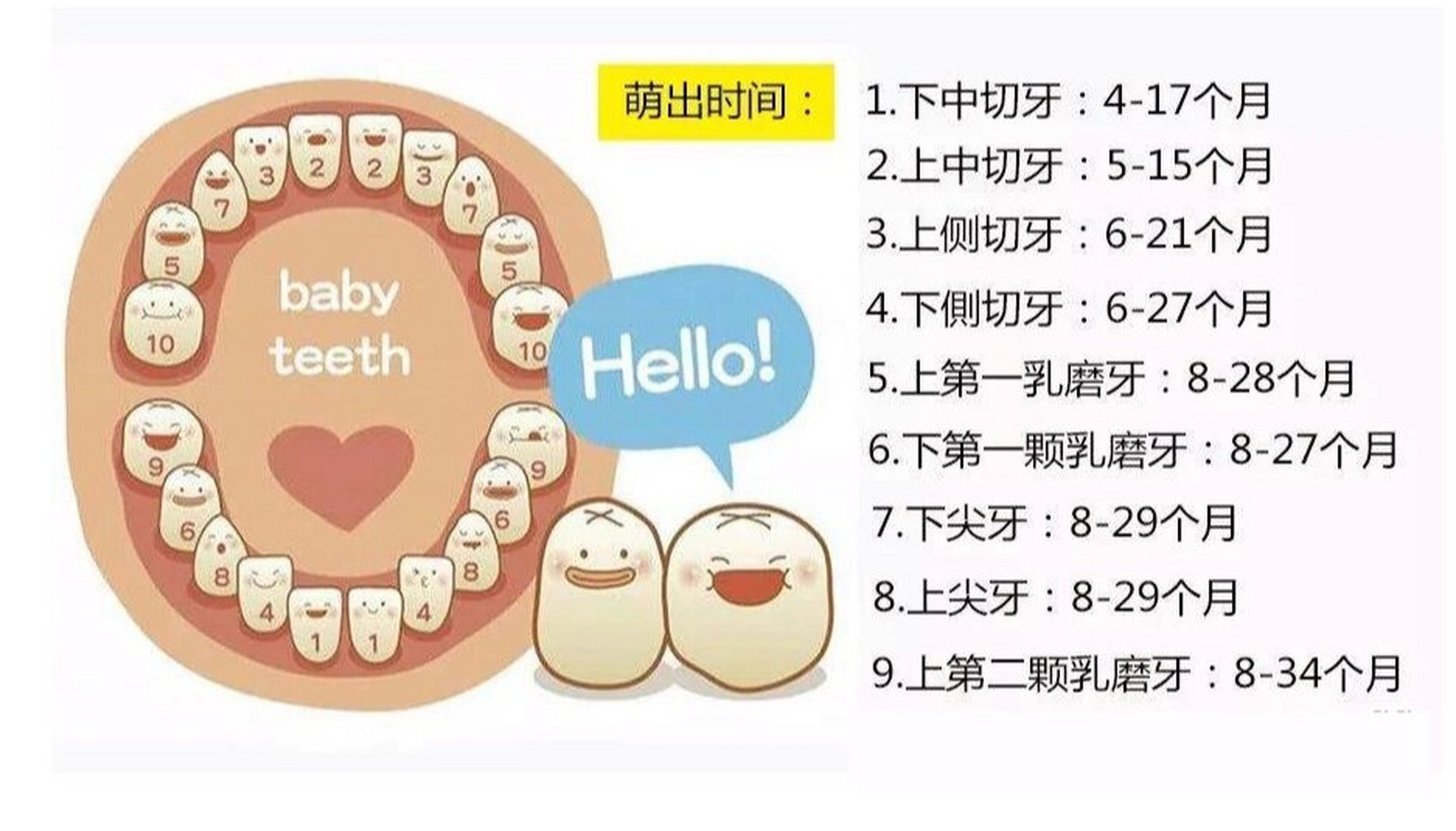 正常人应该有多少颗牙齿? 94一般人乳牙20颗,恒牙28~32颗.