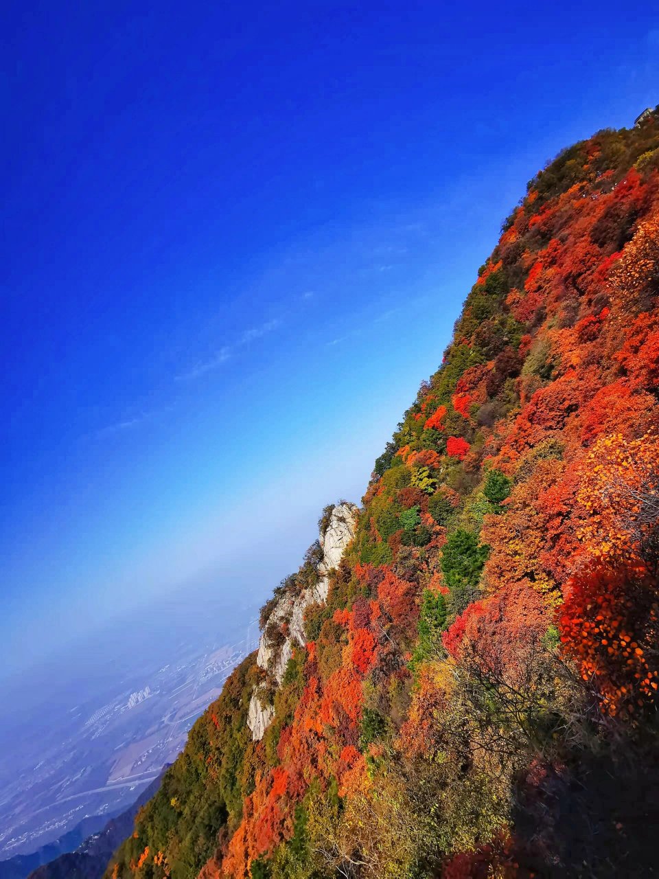 西安1h直达免费红叶观赏地—圭峰山93 圭峰山7215 99地处户县