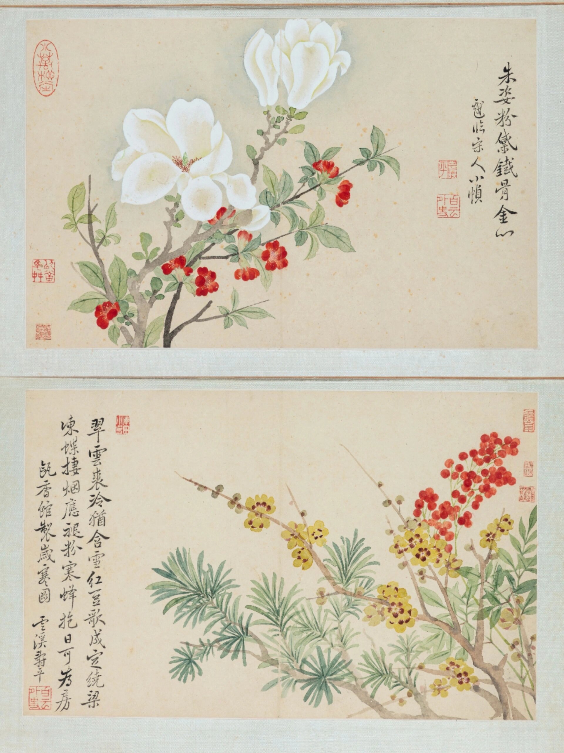 于是今天就来给大家分享一组恽寿平的花卉册～ 这本花卉册每张作品都