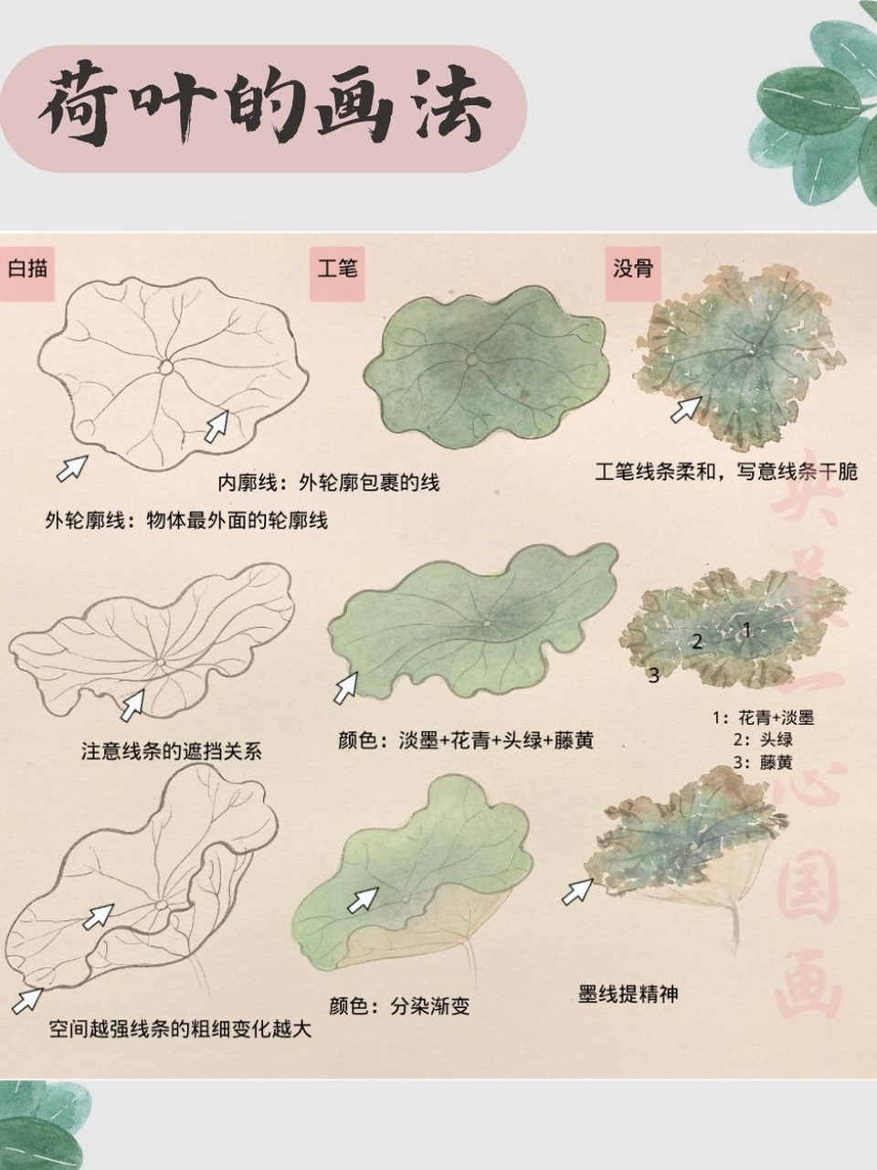 简单荷叶画法图片