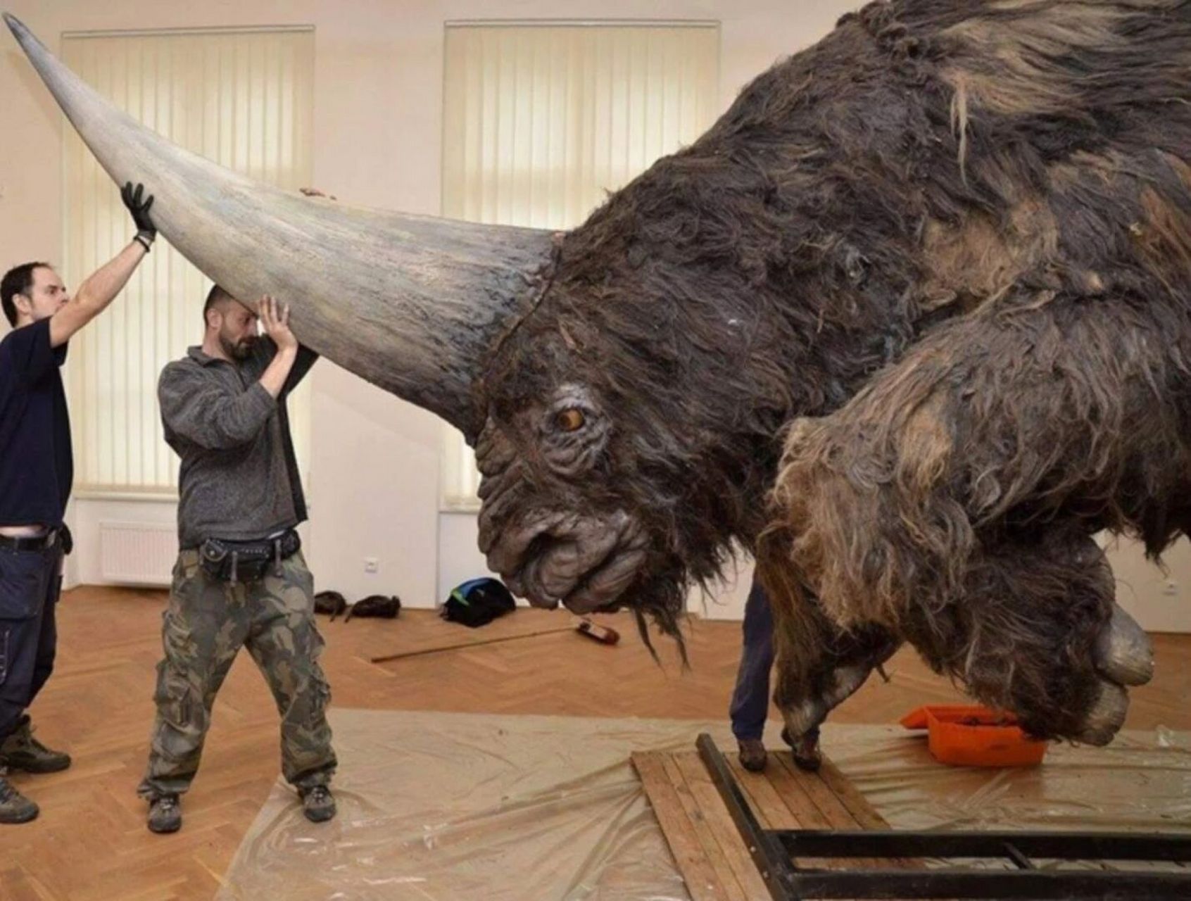 西伯利亚独角兽,elasmotherium,29000年前就已经灭绝了.