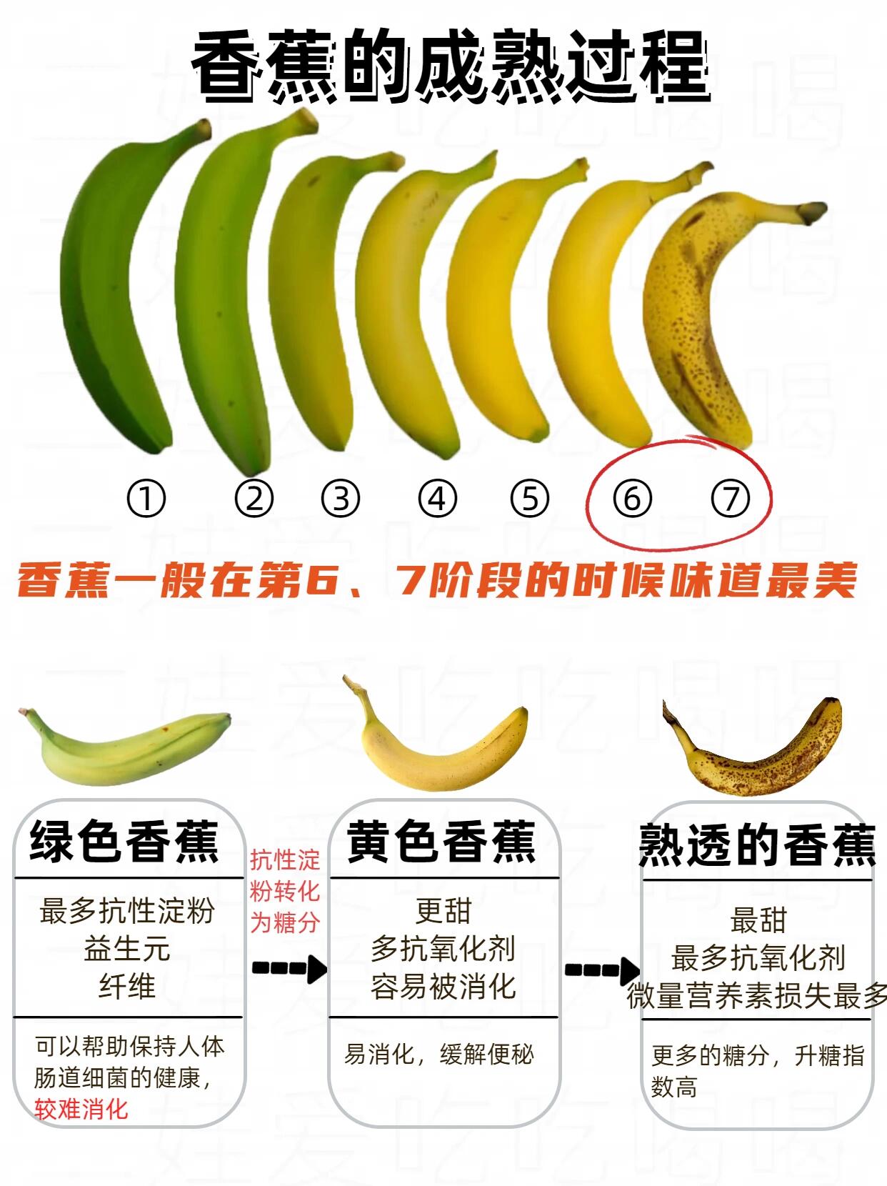94不同颜色香蕉的区别?口感?营养价值