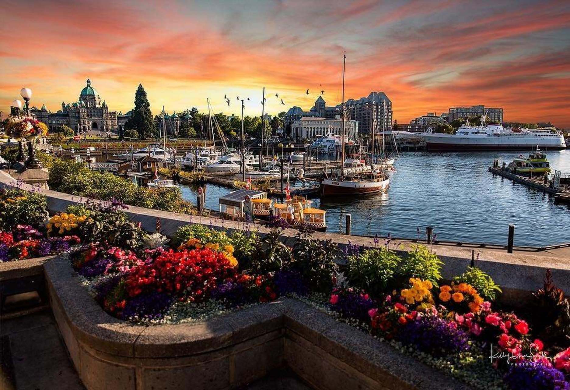 加拿大维多利亚旅游攻必去7个景点 维多利亚市(victoria)号称北美最有