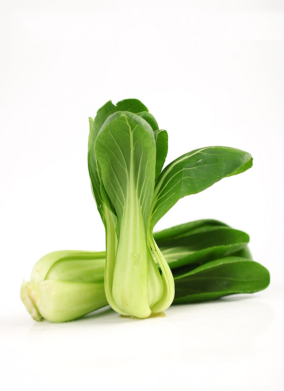 蔬菜-新鲜小白菜绘画素材02油菜拍照 油白菜,苦菜,是十字花科植物