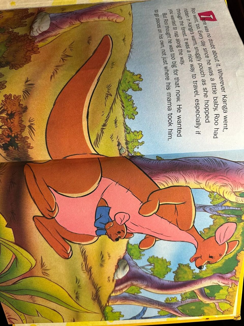 迪士尼袋鼠小豆绘本 9315岀 最近又入手一"天价"小豆周边 真的很