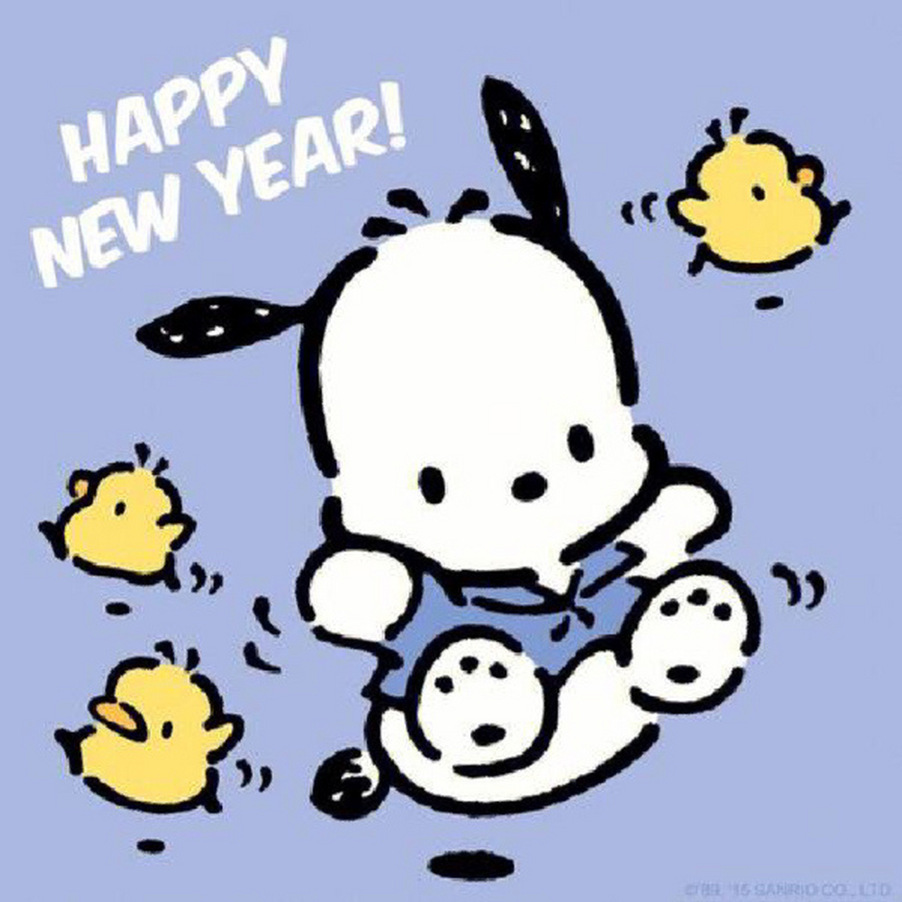 帕恰狗头像来喽(可爱篇)