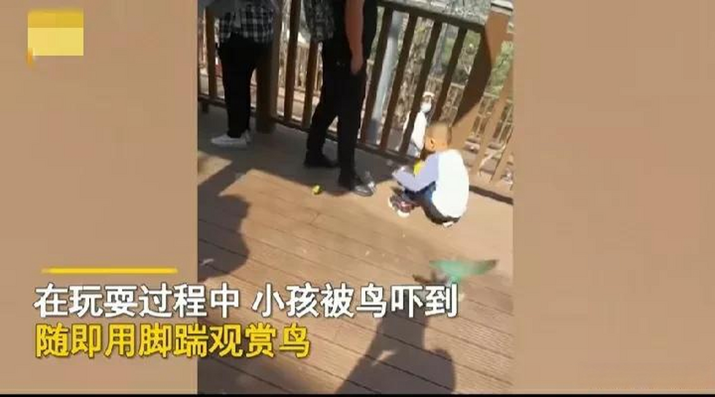 结果小孩被小鸟吓到,后面的操作看了让人愤怒.