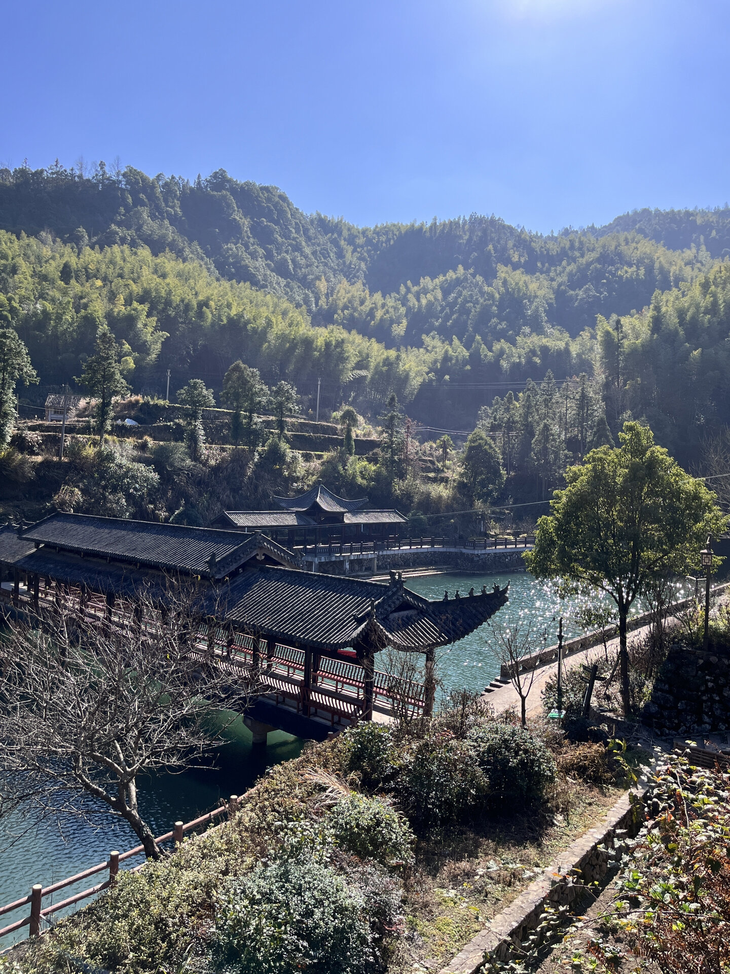 温州周边游|湖岭黄林古村 阳康后不适合剧烈运动和爬山,因此找了一个