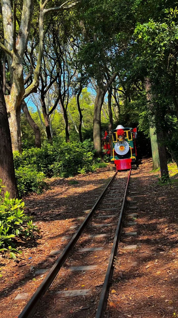 共青国家森林公园|治愈森林 99地址:上海市杨浦区军工路2000号 99