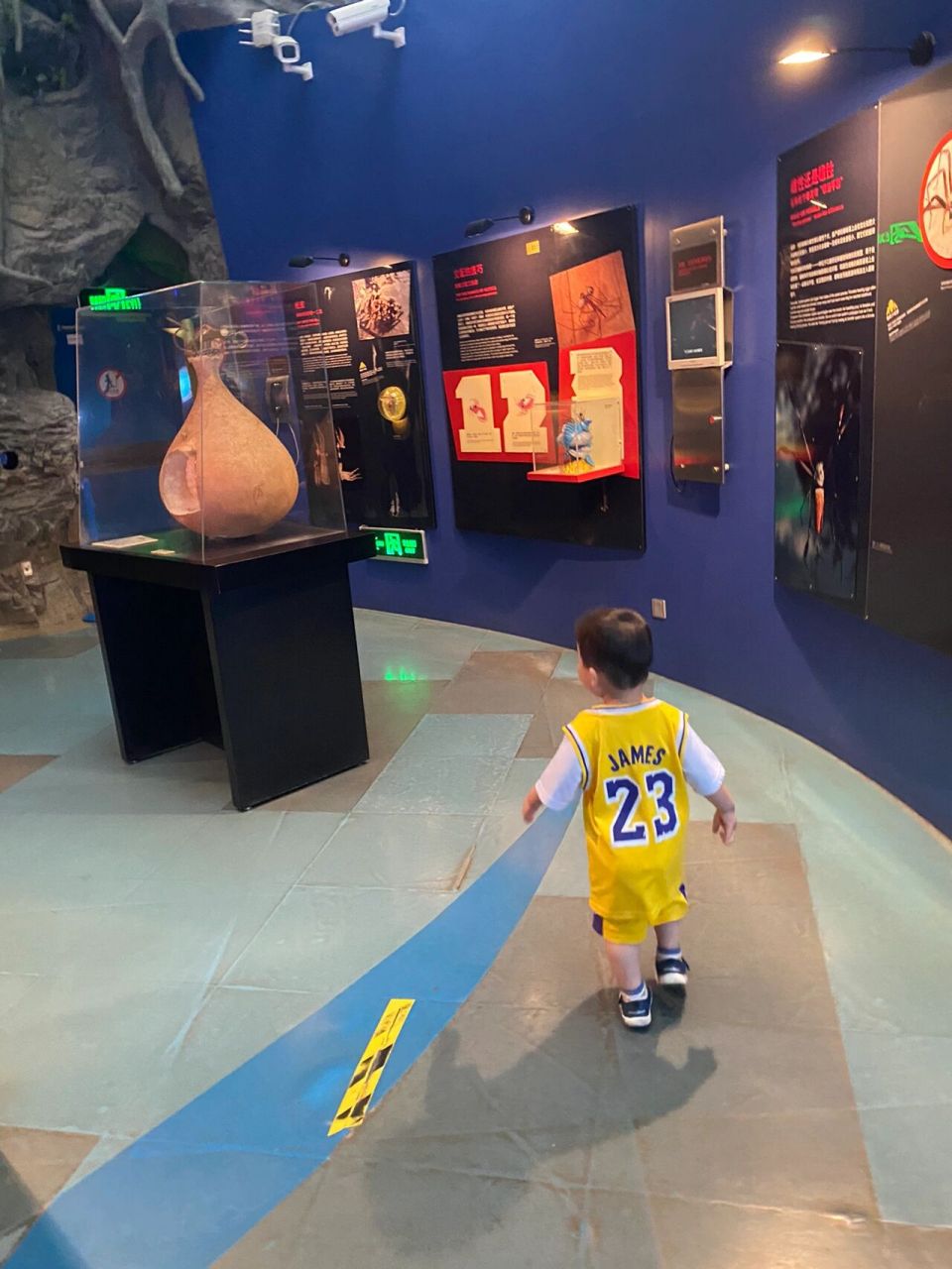 上海科技馆门票就22还不赶紧冲96 到老妈这来玩,本来想去昆虫馆的