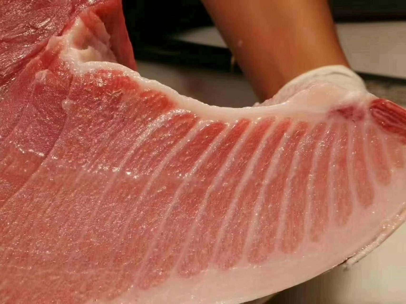 波士顿龙虾豪华综合刺身拼盘,山隐出品 在日式料理里,刺身永远是日料