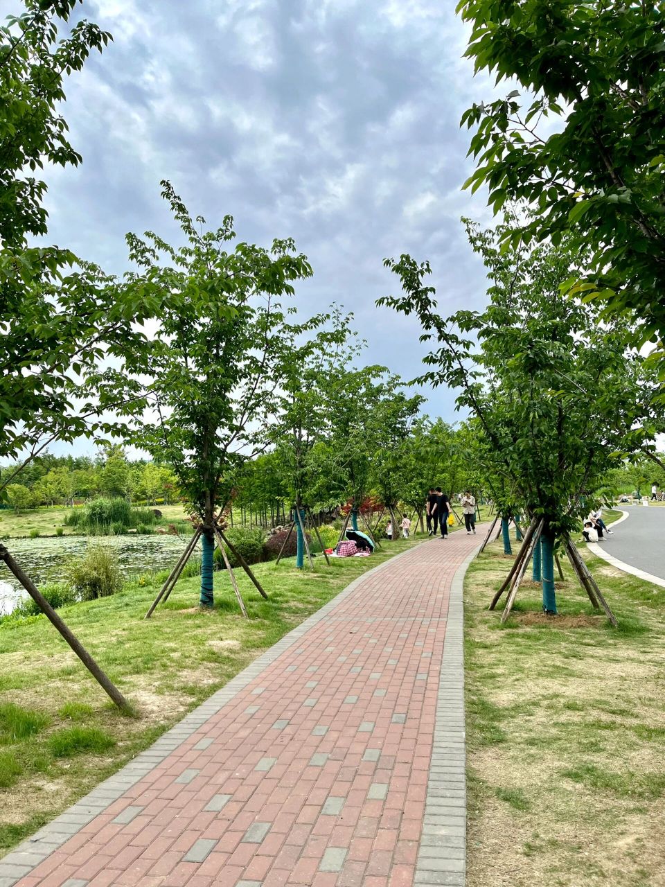 无锡小众景点,北兴塘河湿地湾  	 周末,假日,避开人从众, 北兴塘河
