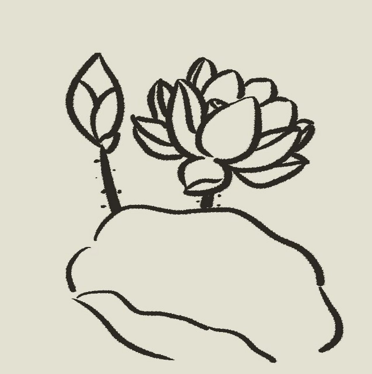 美丽的荷花(简笔画步骤) 夏至晴好日渐长,万物繁盛绿成裳