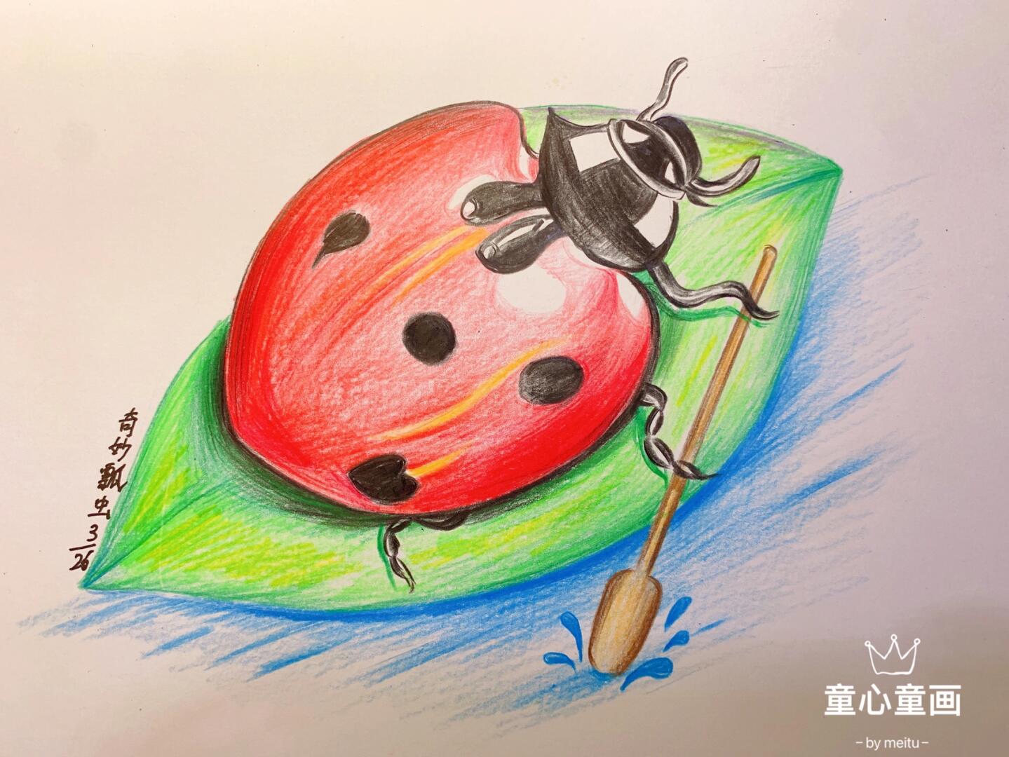 彩铅瓢虫🐞