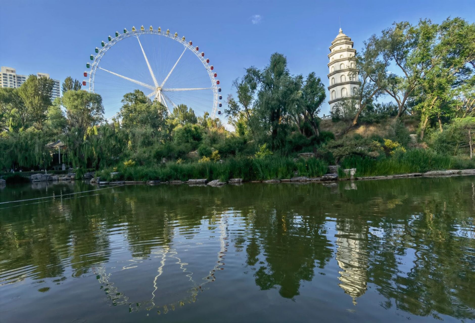 游览西宁市人民公园 6月26日下午从贵阳到达西宁,第一站游览西宁市