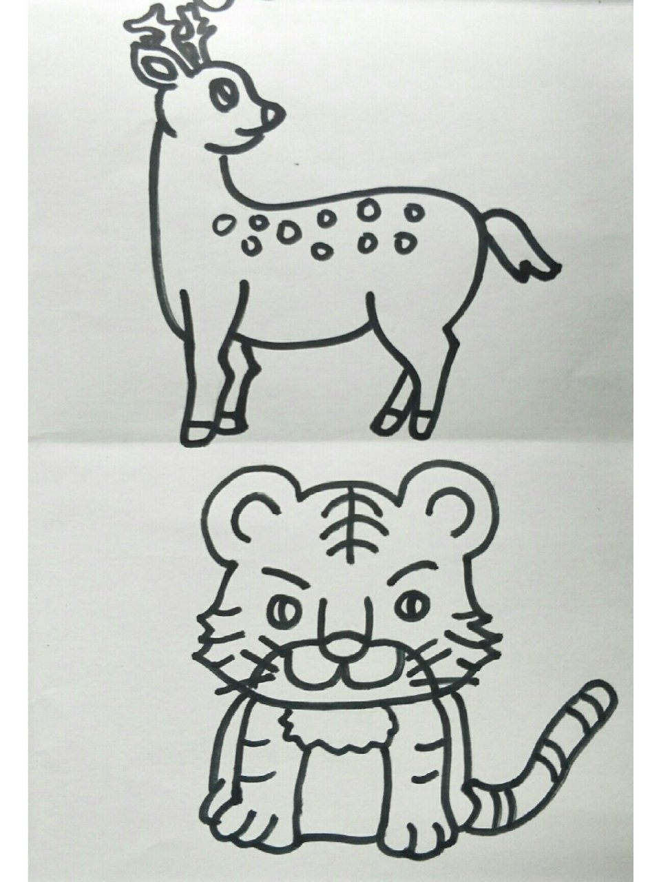 兽类简笔画 这是用铅笔打稿后,再描摹的.