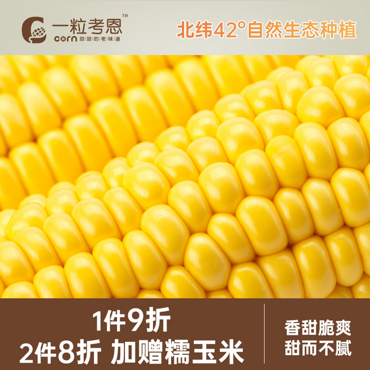 可以从个头方面进行分辨,转基因玉米个头比较均匀,看上去非常整齐好看