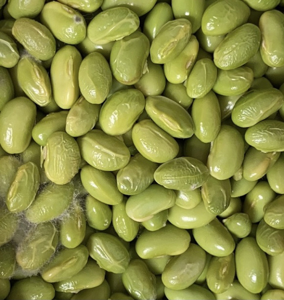 江西小吃-霉豆子 在家无聊做了一道江西地道小吃-霉豆子!