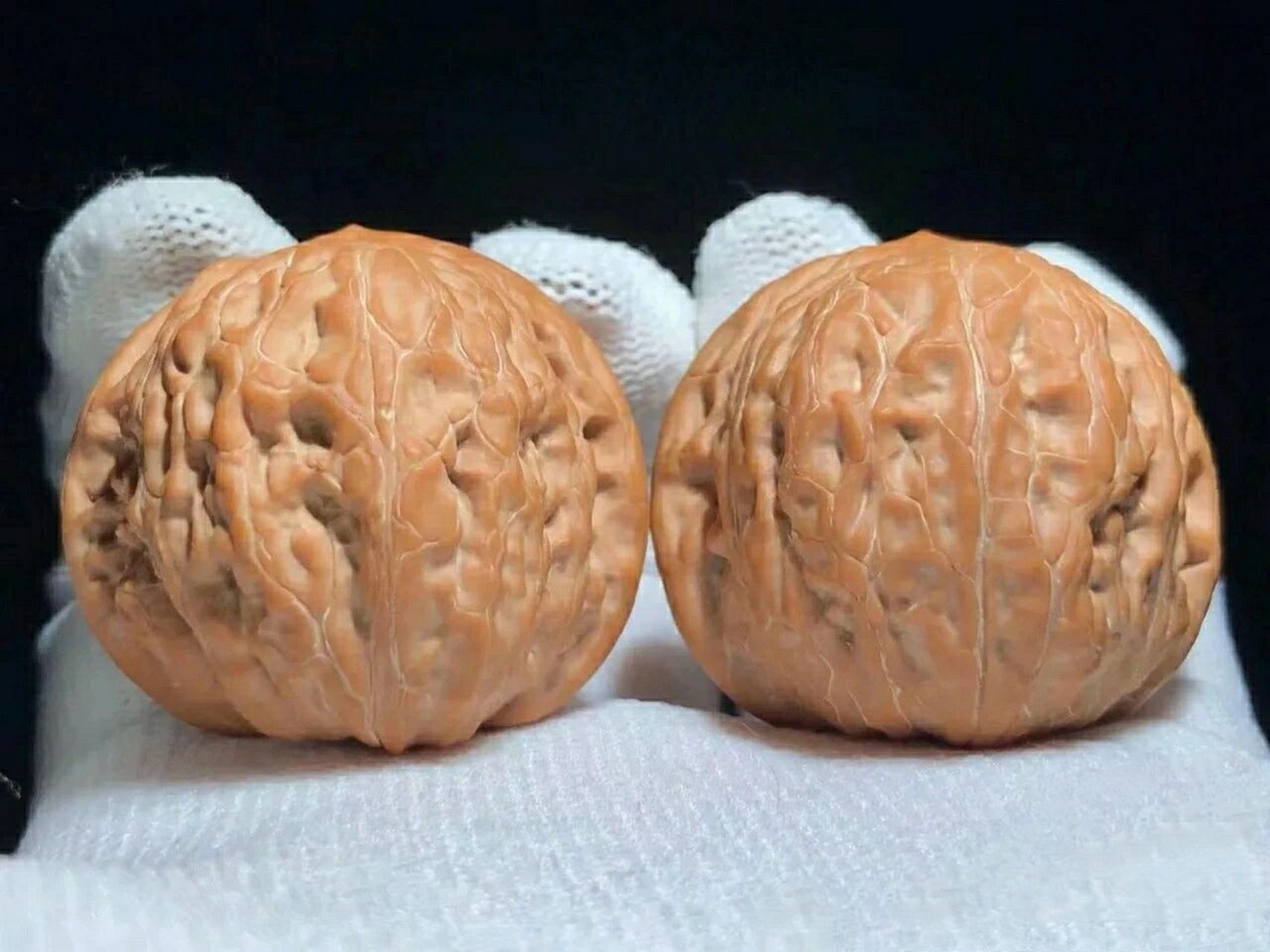 产地北京平谷,为什么叫铁锤,有朋友说是因为核桃分量比较重,也有朋友