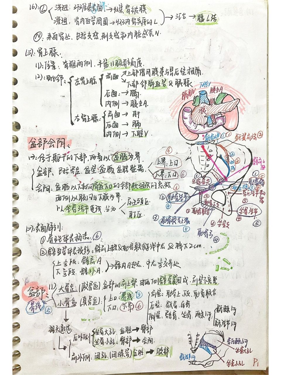 解剖列车笔记26讲图片