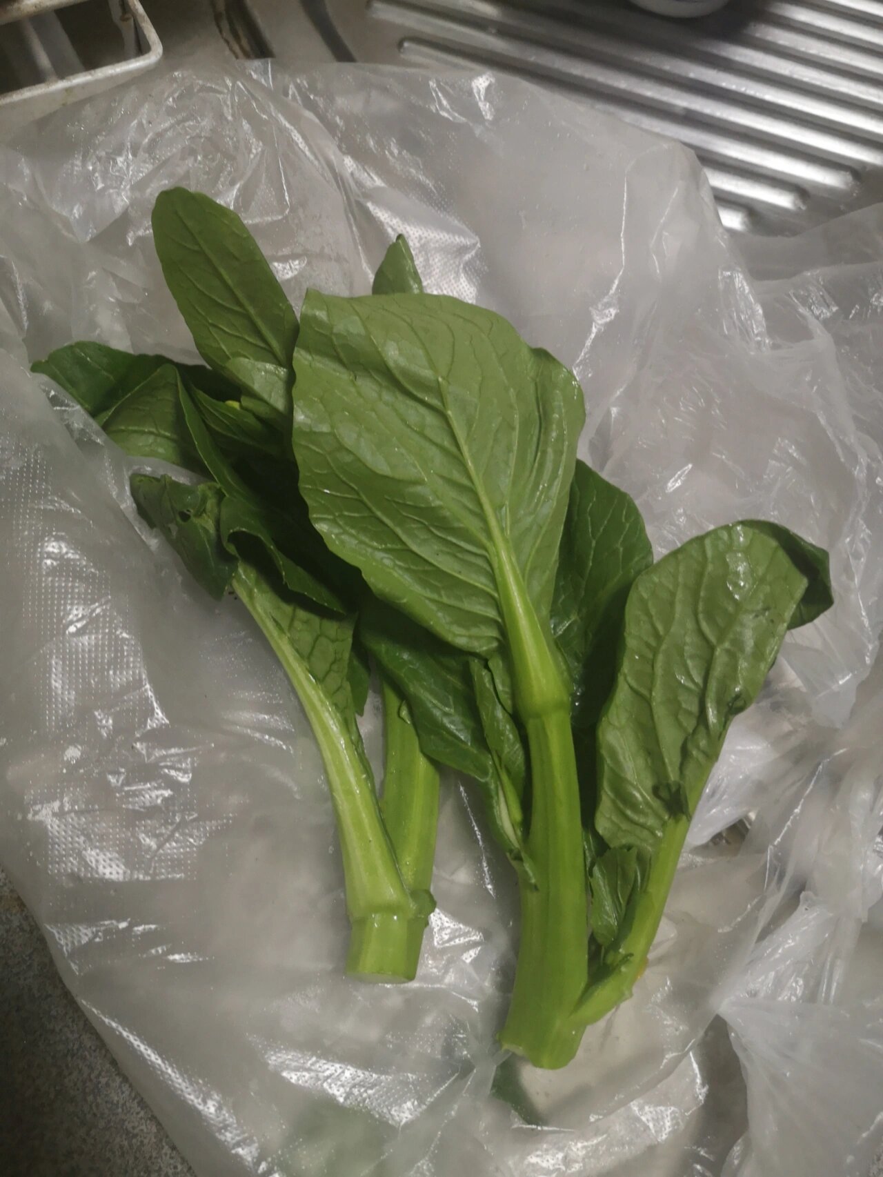 我家是长期吃宁夏菜心的.
