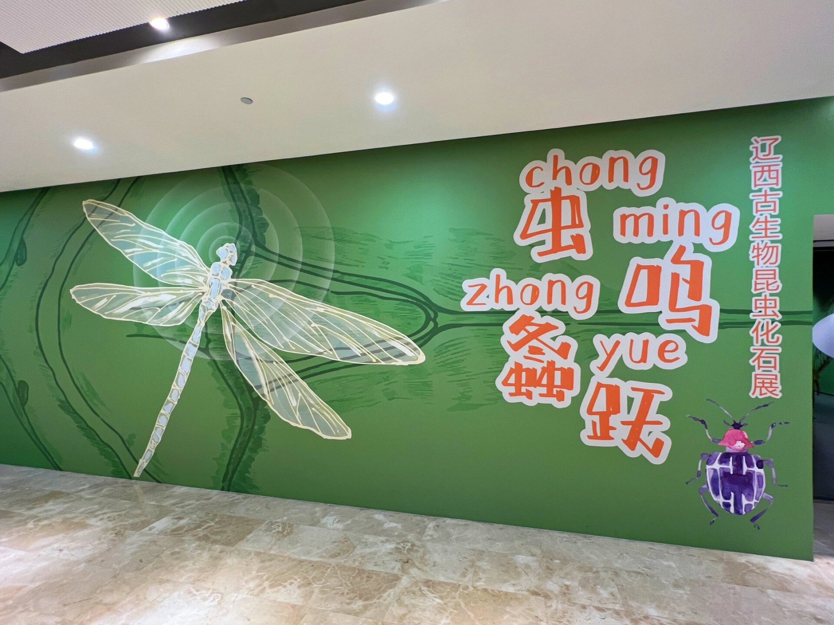 金华市博物馆 金华市博物馆,镇馆之宝:萤石球,直径1.82米,重9.