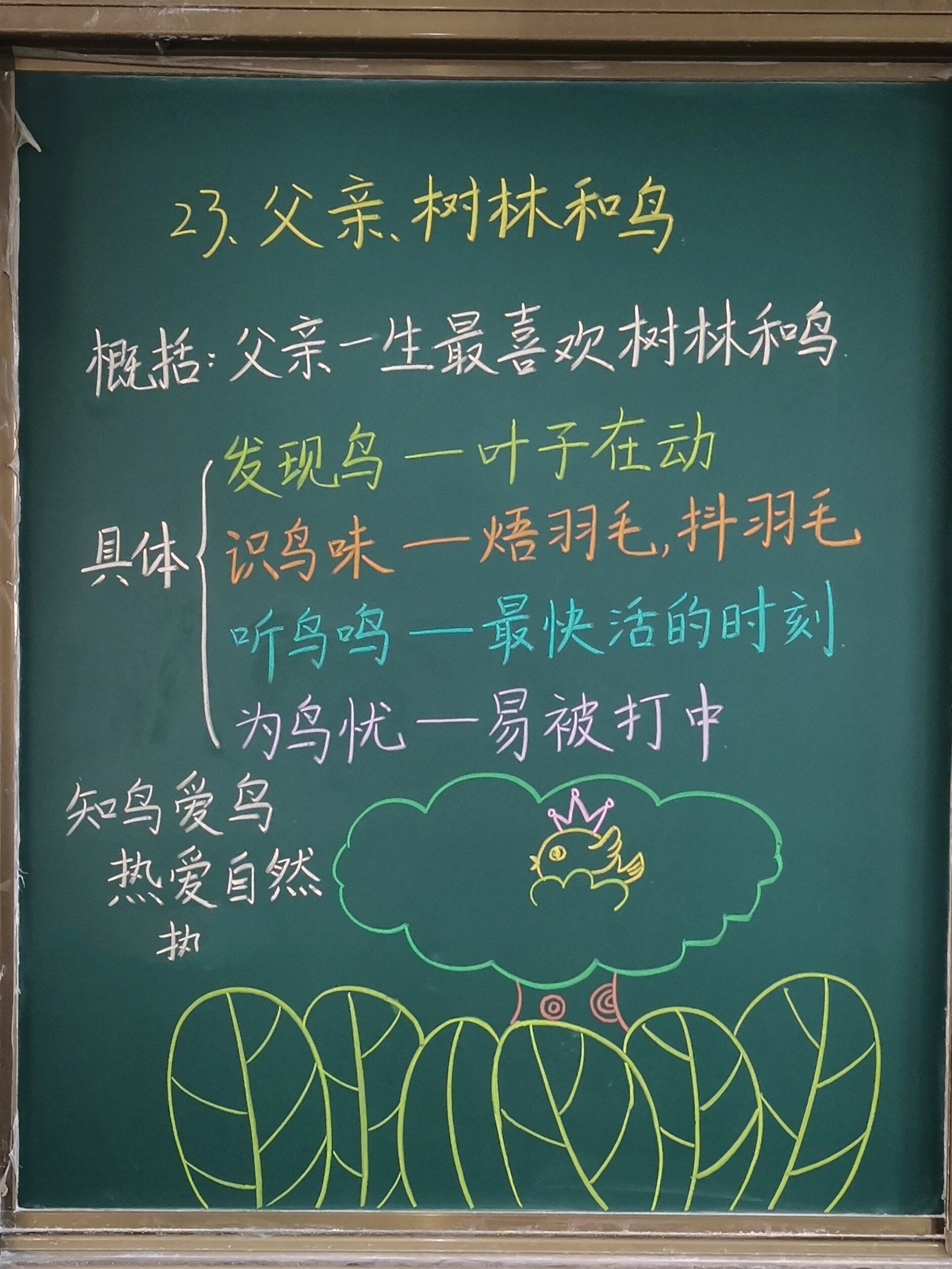 三上语文父亲,树林和鸟
