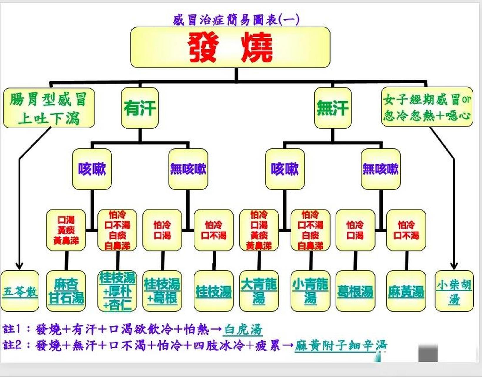 经方治疗感冒发烧思维导图
