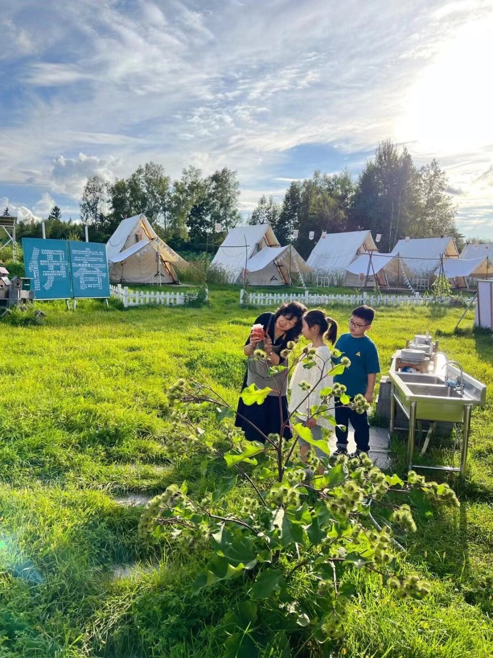 伊春最美民宿 伊春住了两晚的民宿 到处是风景 特别治愈 下次还要再来