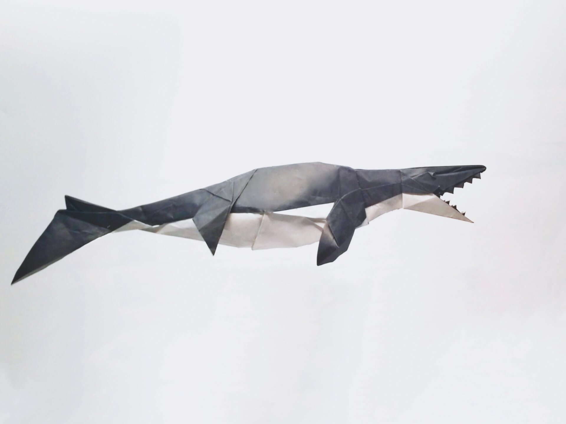 【折纸设计】沧龙 鳍的形状还不太行