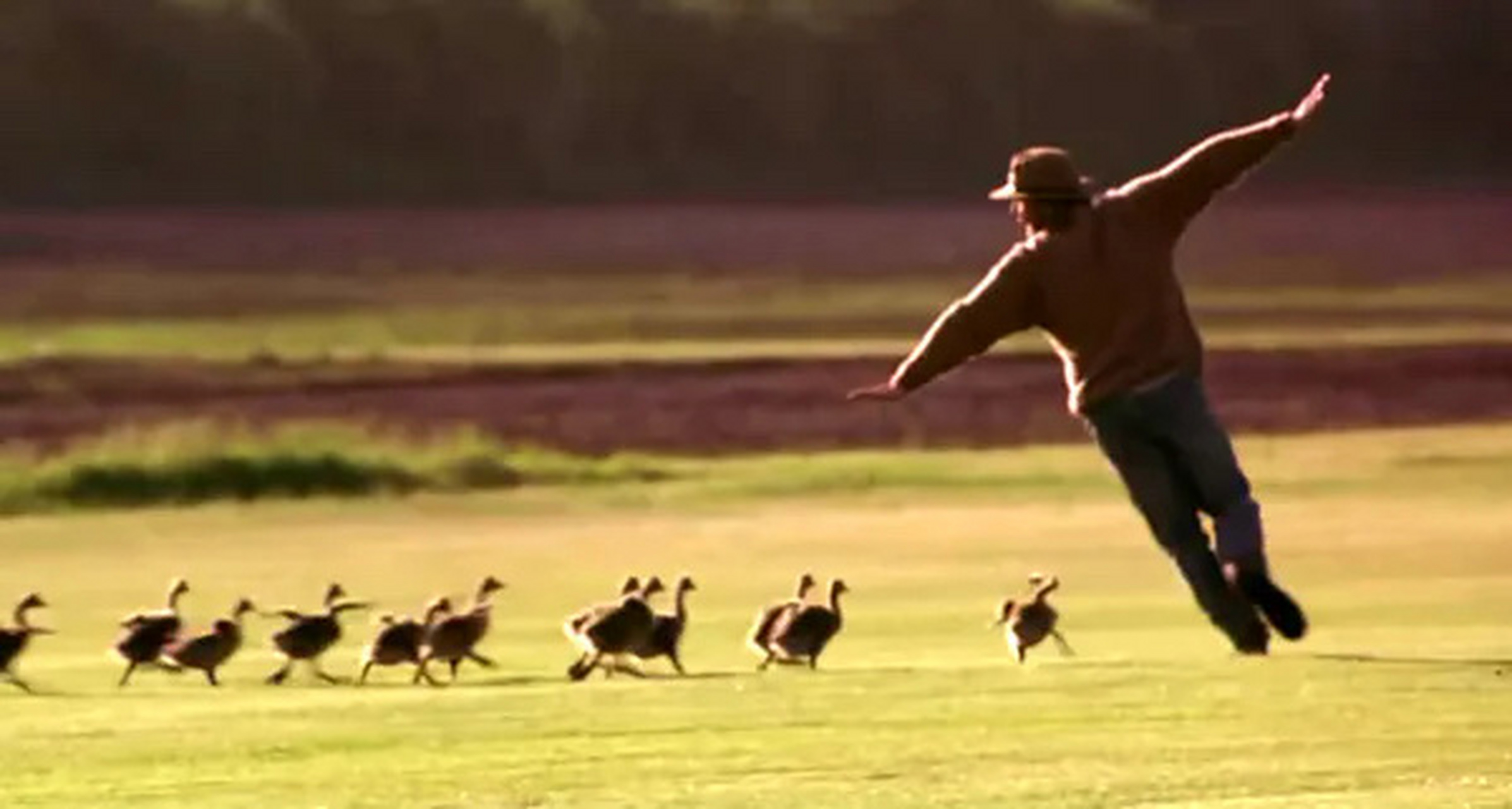 1996年《伴你高飞》  她独自出发,寻找梦想,无人帮忙.