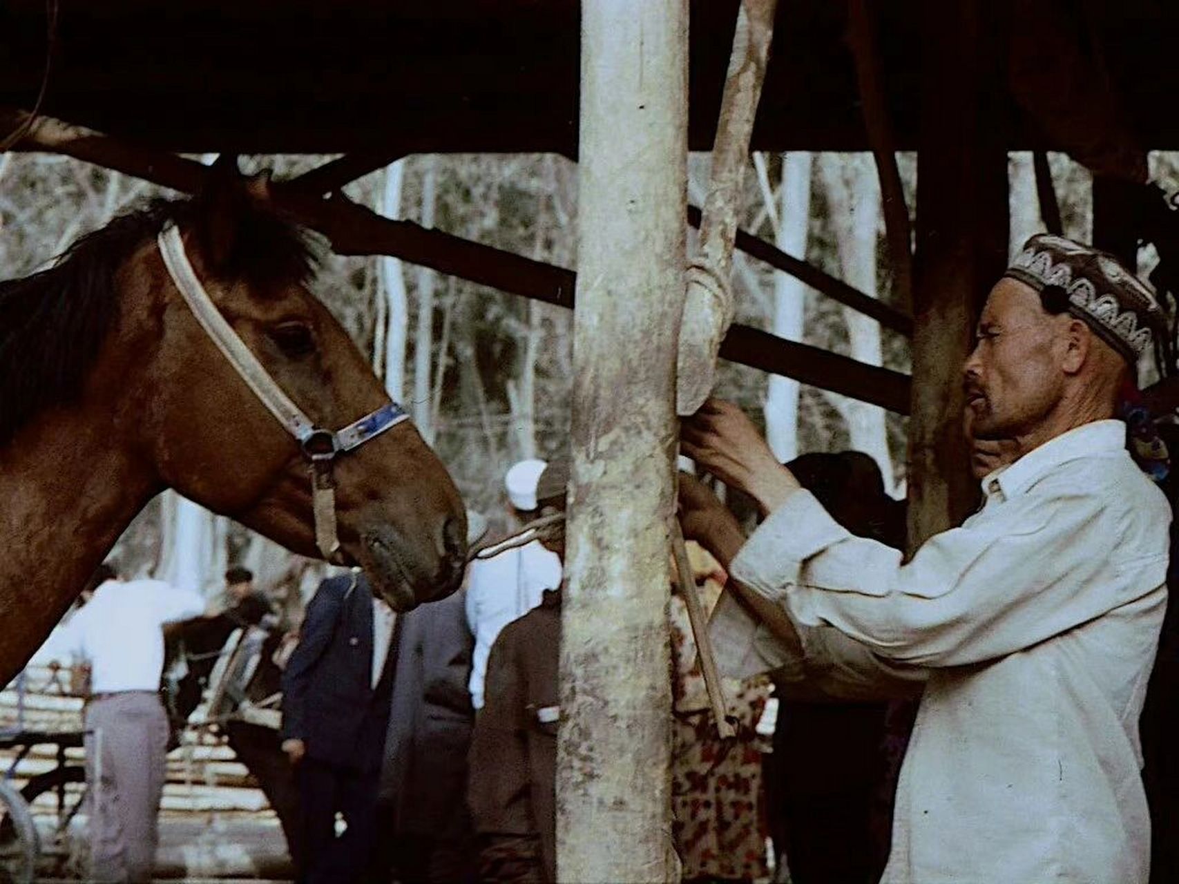 少数民族系列老照片之新疆和田 套图为1996年的新疆和田#老照片