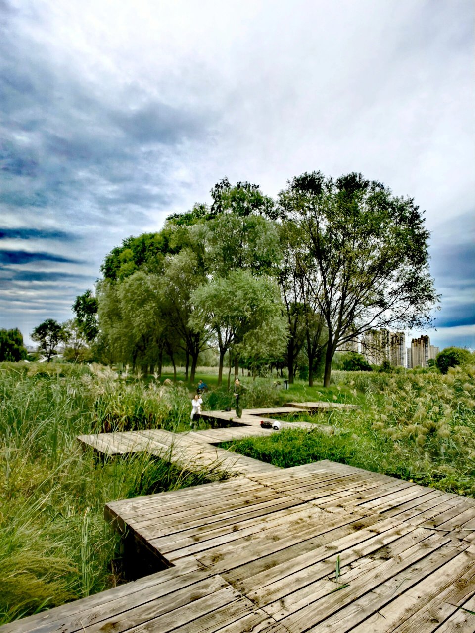 秋游瀛洲桥湿地公园,探寻洛浦美景93 秋风轻拂,漫步洛浦公园, 仿佛